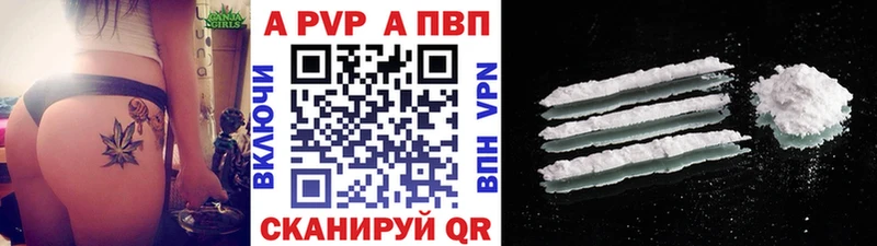 Alfa_PVP СК  Печора 