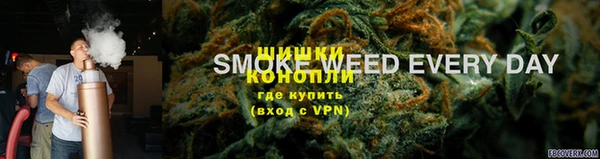 гидра Волоколамск