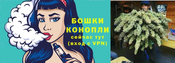 гидра Волоколамск