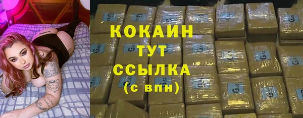 гидра Волоколамск